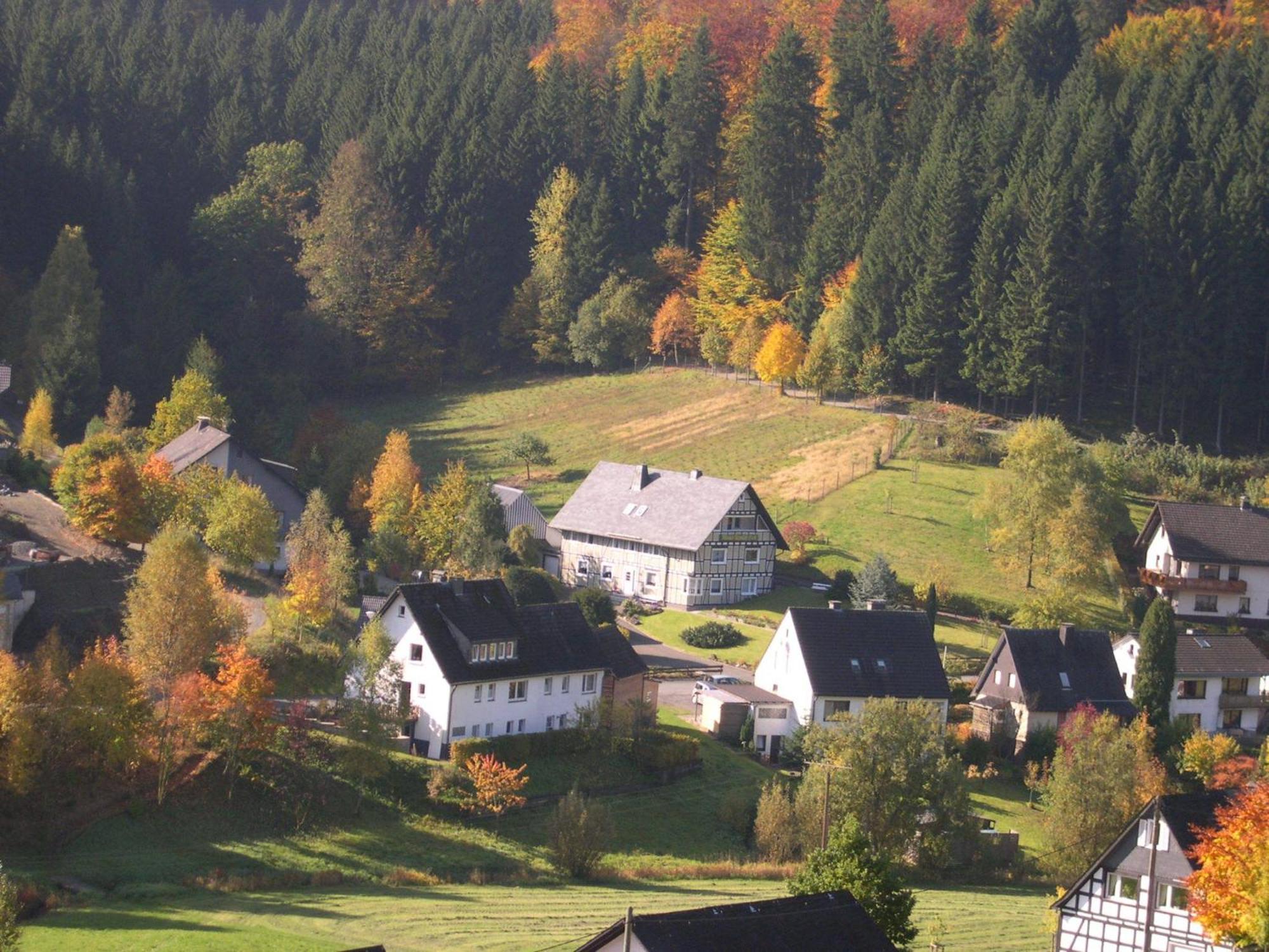 Haus Wald-Eck Apartment Schmallenberg Exterior foto