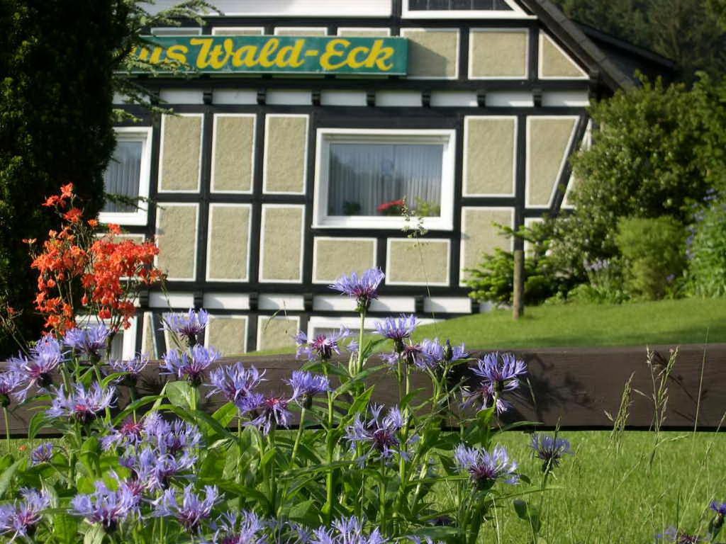 Haus Wald-Eck Apartment Schmallenberg Exterior foto