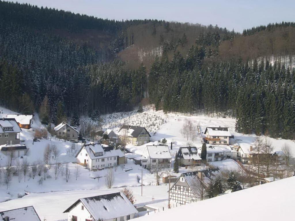 Haus Wald-Eck Apartment Schmallenberg Exterior foto